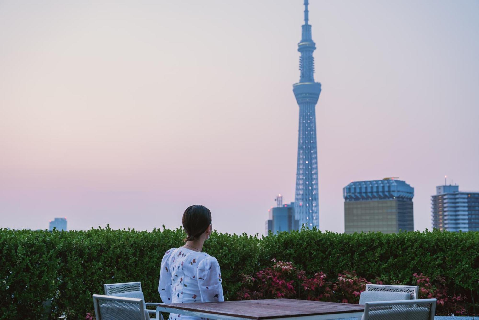 浅草雷门休雷克盖特酒店 4* 東京都
